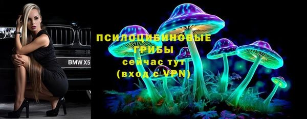 молекула духа Медногорск