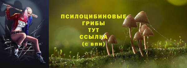 прущая мука Михайлов