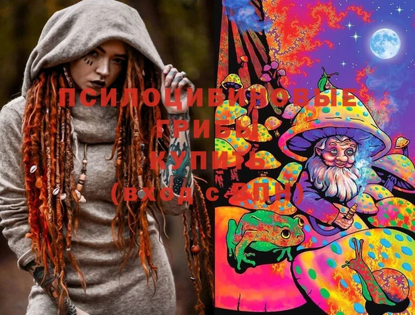 спиды Медвежьегорск