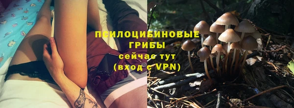 прущая мука Михайлов