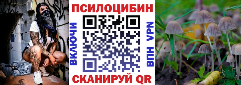 Псилоцибиновые грибы Cubensis  Кулебаки 