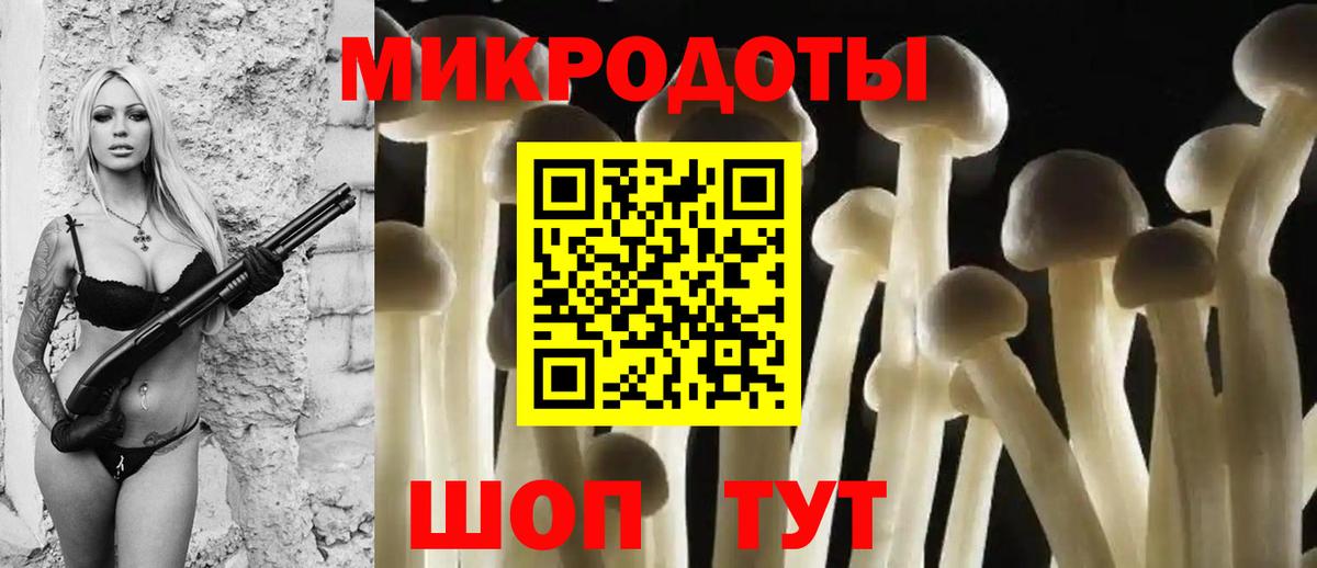 Псилоцибиновые грибы Psilocybe  Кулебаки 