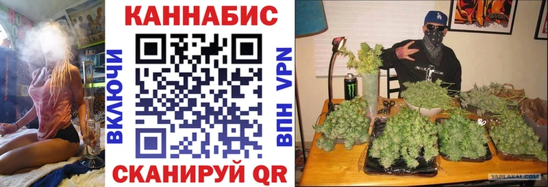 МАРИХУАНА Amnesia  Кулебаки 